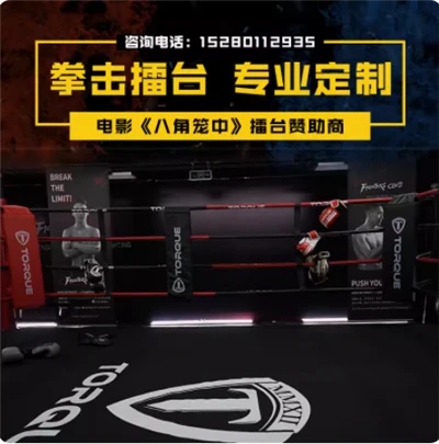 Octógono para MMA